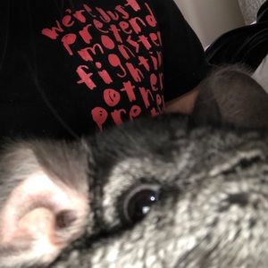 Meet your Posher, Eli